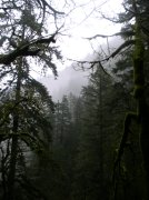 12.27.05 Triple Falls 059 